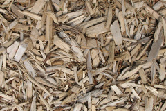 biomass boilers Pullyernan