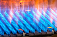 Pullyernan gas fired boilers